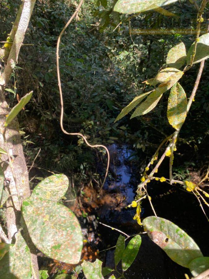 WhatsApp Image 2025-09-12 at 11.55.52 (1).jpeg